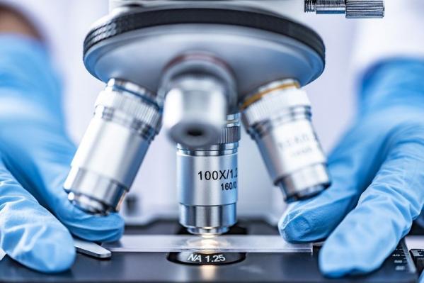 Syntetyczne biomateriały naśladujące naturalne ścięgna