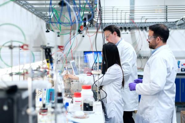Nowy biomateriał, który odradza naczynia krwionośne i kości