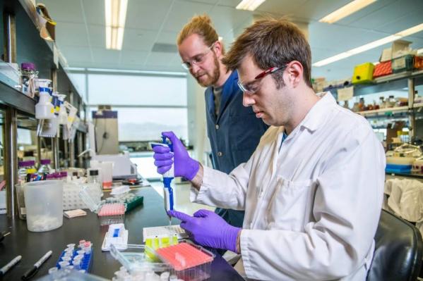 Nowy biomateriał, który można precyzyjnie dostroić do zastosowań medycznych
