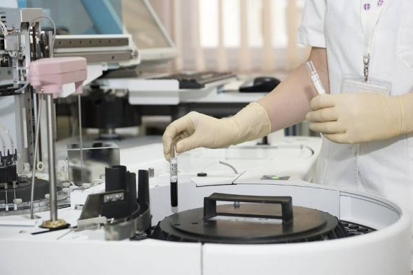Opracowywanie nowych technik budowy biomateriałów